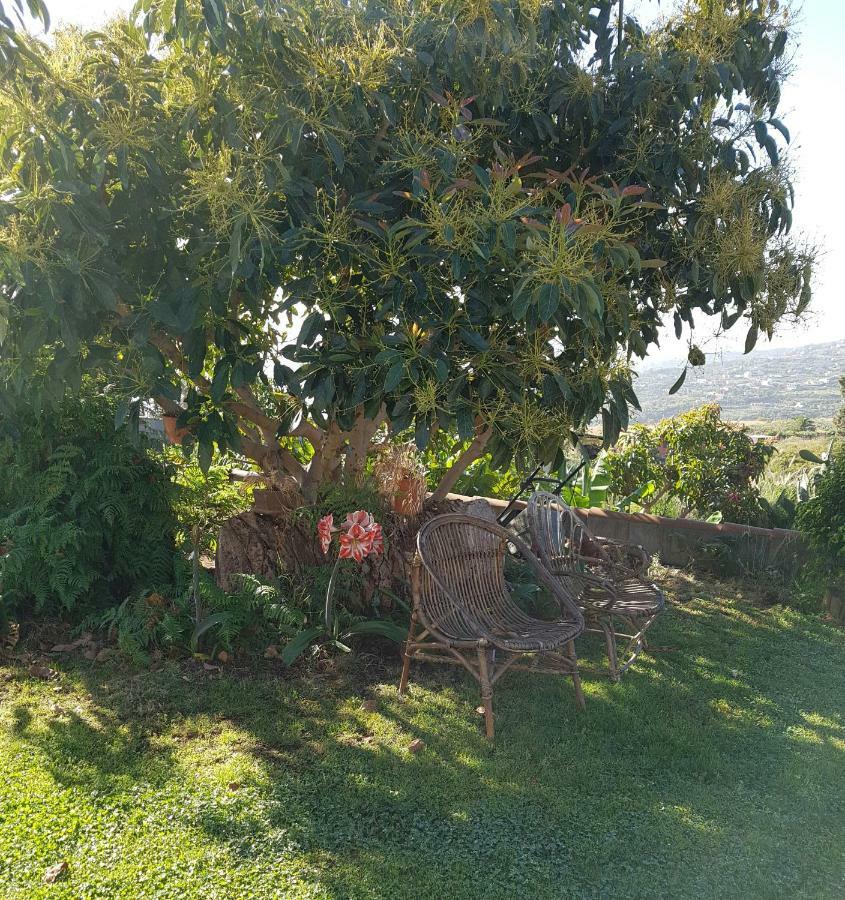 La Sabana Guest House Buenavista de Abajo Bagian luar foto